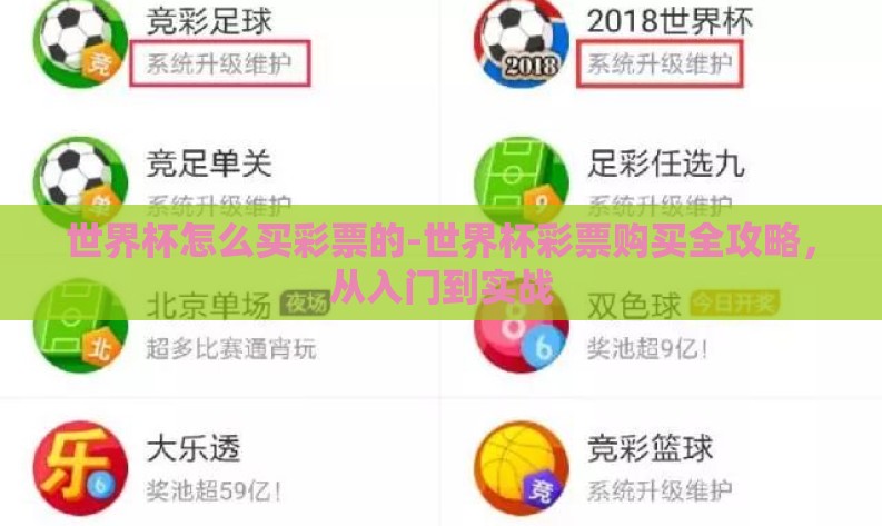 世界杯怎么买彩票的-世界杯彩票购买全攻略，从入门到实战