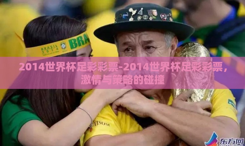 2014世界杯足彩彩票-2014世界杯足彩彩票,激情与策略的碰撞 2014世界杯足彩彩票-2014世界杯足彩彩票,激情与策略的碰撞
