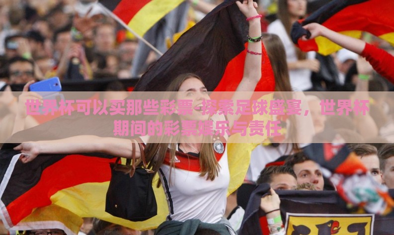世界杯可以买那些彩票-探索足球盛宴，世界杯期间的彩票娱乐与责任
