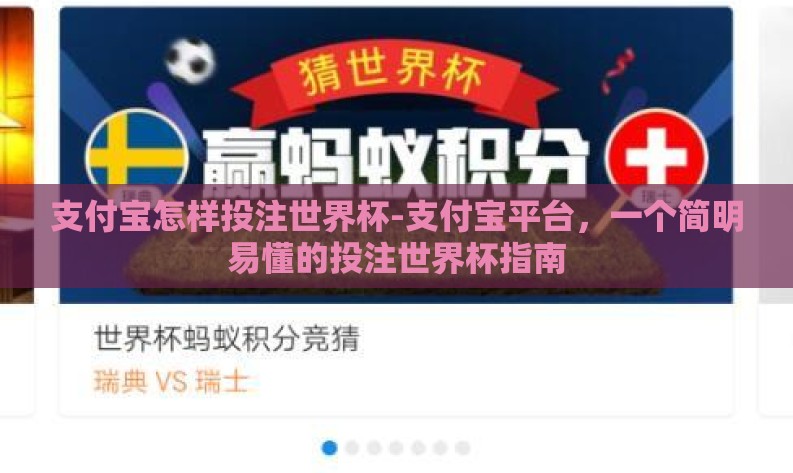 支付宝怎样投注世界杯-支付宝平台，一个简明易懂的投注世界杯指南