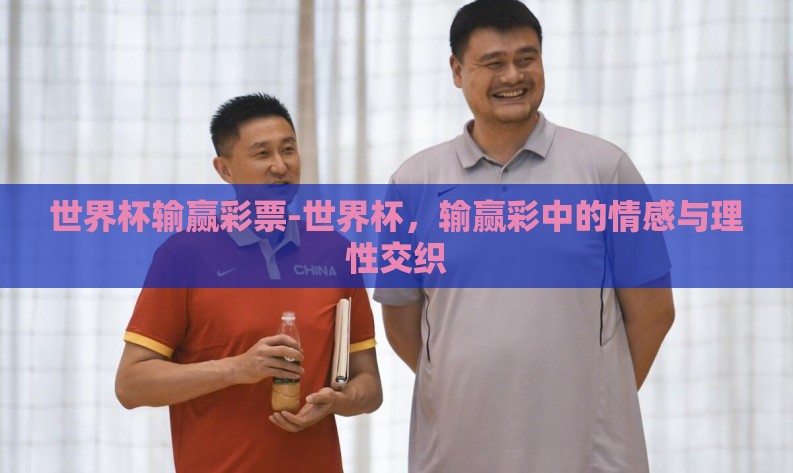 世界杯输赢彩票-世界杯，输赢彩中的情感与理性交织