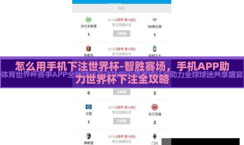 怎么用手机下注世界杯-智胜赛场,手机APP助力世界杯下注全攻略 怎么用手机下注世界杯-智胜赛场,手机APP助力世界杯下注全攻略