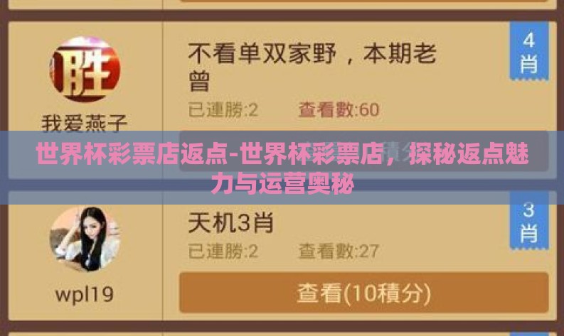 世界杯彩票店返点-世界杯彩票店,探秘返点魅力与运营奥秘 世界杯彩票店返点-世界杯彩票店,探秘返点魅力与运营奥秘