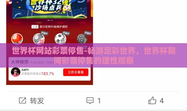 世界杯网站彩票停售-畅游足彩世界,世界杯期间彩票停售的理性观察 世界杯网站彩票停售-畅游足彩世界,世界杯期间彩票停售的理性观察