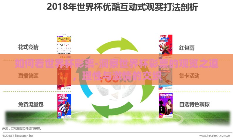 天天中彩票世界杯板-踏上数字的奇妙旅程，解锁天天中彩票世界杯板的小秘密