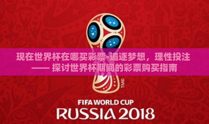 现在世界杯在哪买彩票-追逐梦想，理性投注 —— 探讨世界杯期间的彩票购买指南