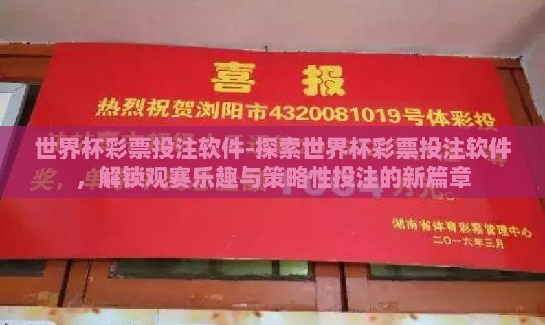 世界杯彩票投注软件-探索世界杯彩票投注软件，解锁观赛乐趣与策略性投注的新篇章