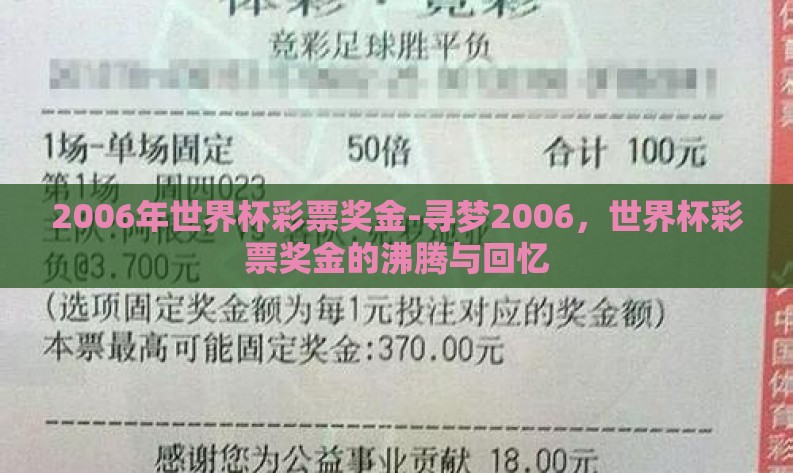 2006年世界杯彩票奖金-寻梦2006，世界杯彩票奖金的沸腾与回忆