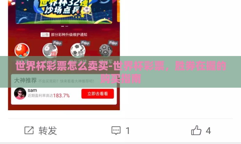 世界杯彩票怎么卖买-世界杯彩票，胜券在握的购买指南