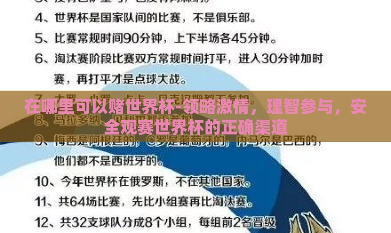 在哪里可以赌世界杯-领略激情，理智参与，安全观赛世界杯的正确渠道