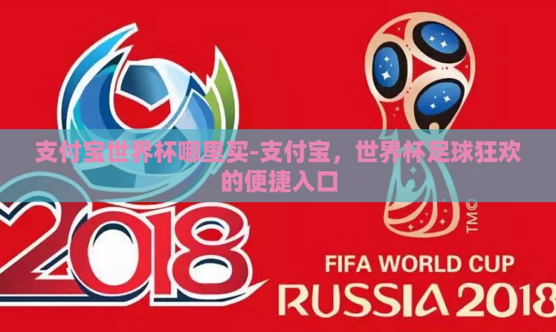 支付宝世界杯哪里买-支付宝，世界杯足球狂欢的便捷入口
