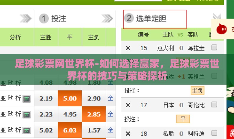足球彩票网世界杯-如何选择赢家，足球彩票世界杯的技巧与策略探析