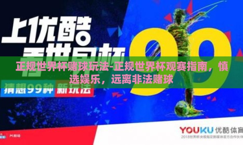 正规世界杯赌球玩法-正规世界杯观赛指南，慎选娱乐，远离非法赌球