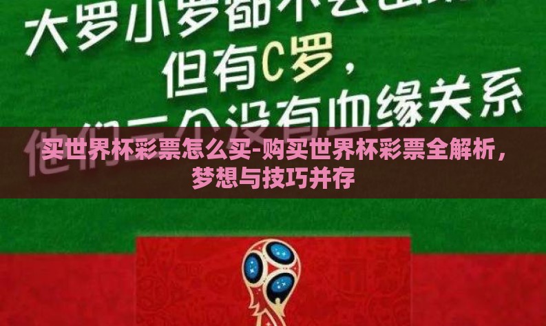 买世界杯彩票怎么买-购买世界杯彩票全解析，梦想与技巧并存