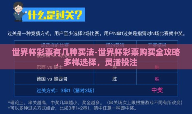 世界杯彩票有几种买法-世界杯彩票购买全攻略，多样选择，灵活投注
