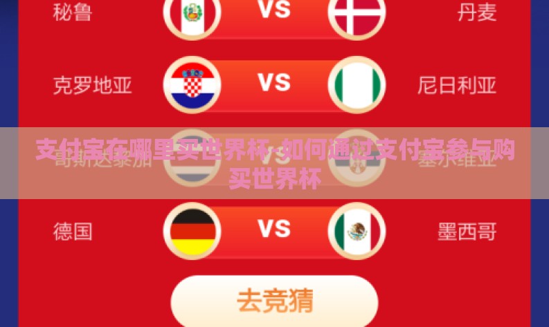 支付宝在哪里买世界杯-如何通过支付宝参与购买世界杯