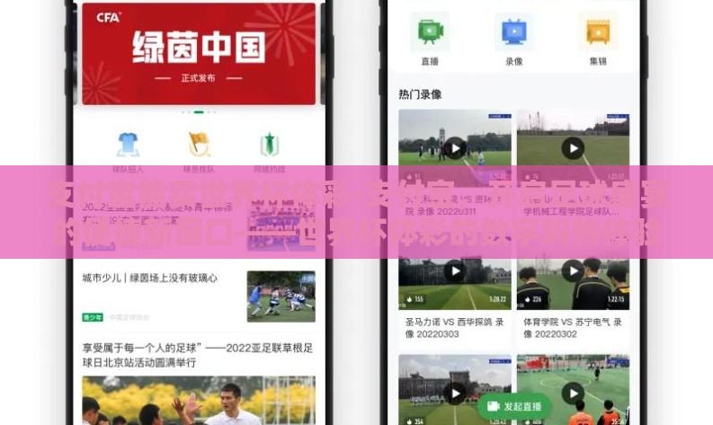 支付宝能买世界杯体彩-支付宝，开启足球盛宴的便捷新窗口——世界杯体彩的数字购物体验