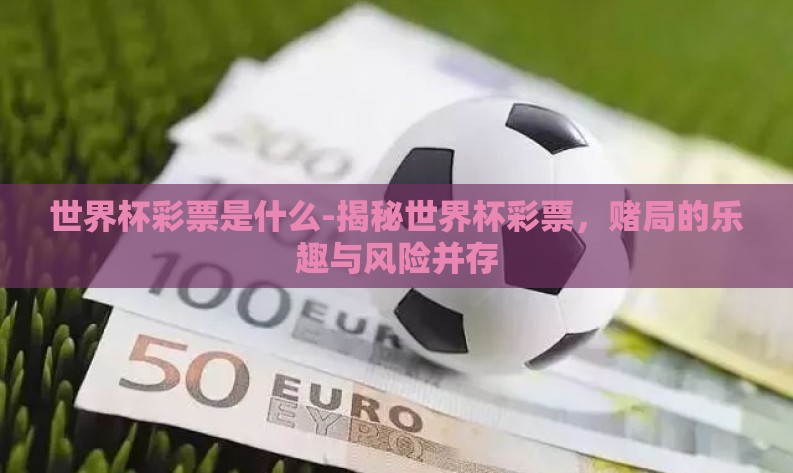 世界杯彩票是什么-揭秘世界杯彩票，赌局的乐趣与风险并存