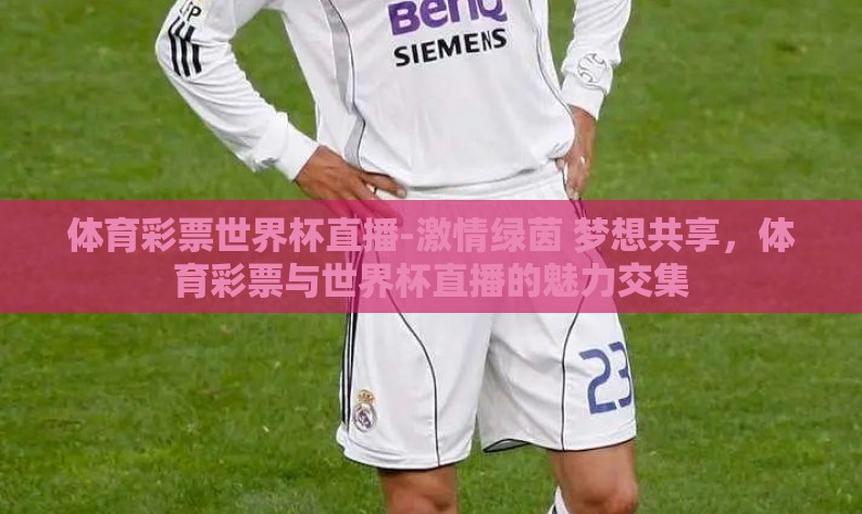 体育彩票世界杯直播-激情绿茵 梦想共享，体育彩票与世界杯直播的魅力交集
