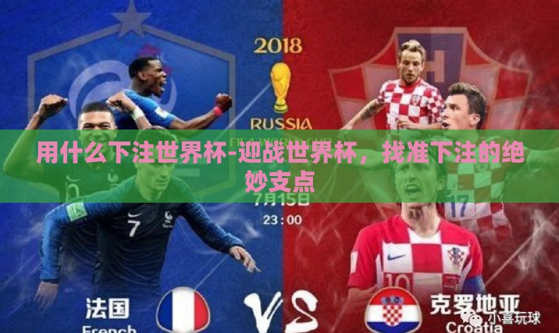 用什么下注世界杯-迎战世界杯，找准下注的绝妙支点