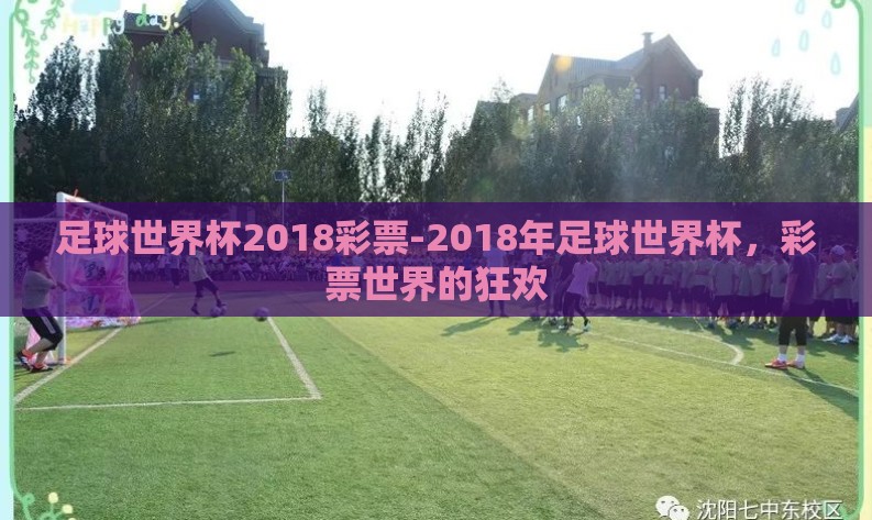 足球世界杯2018彩票-2018年足球世界杯，彩票世界的狂欢
