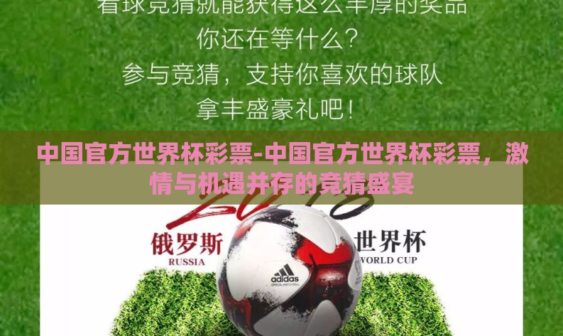 中国官方世界杯彩票-中国官方世界杯彩票，激情与机遇并存的竞猜盛宴