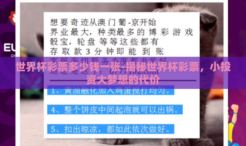 世界杯彩票多少钱一张-揭秘世界杯彩票，小投资大梦想的代价
