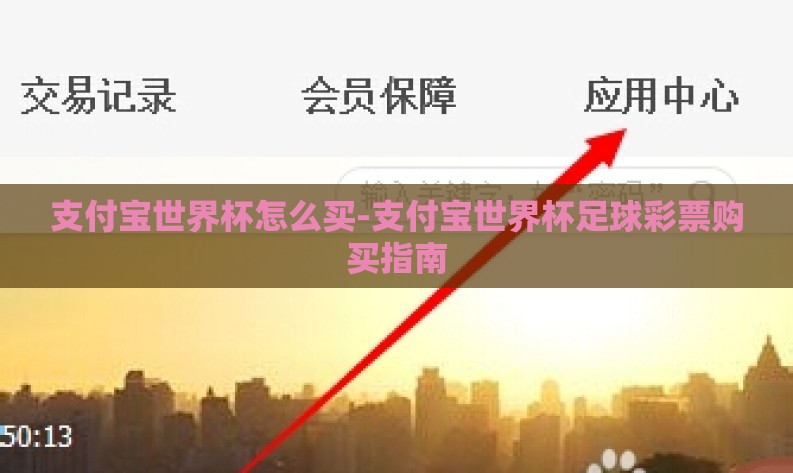 支付宝世界杯怎么买-支付宝世界杯足球彩票购买指南