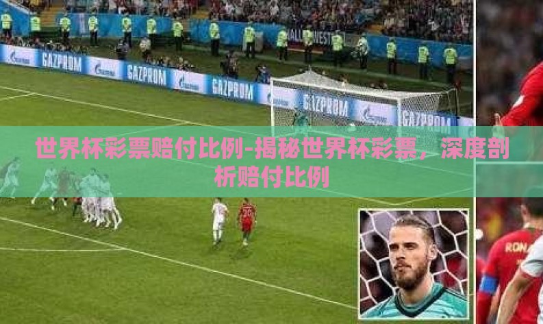世界杯彩票赔付比例-揭秘世界杯彩票,深度剖析赔付比例 世界杯彩票赔付比例-揭秘世界杯彩票,深度剖析赔付比例