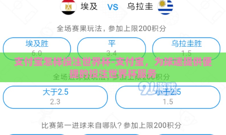 支付宝怎样投注世界杯-支付宝，为球迷提供便捷的投注世界杯服务