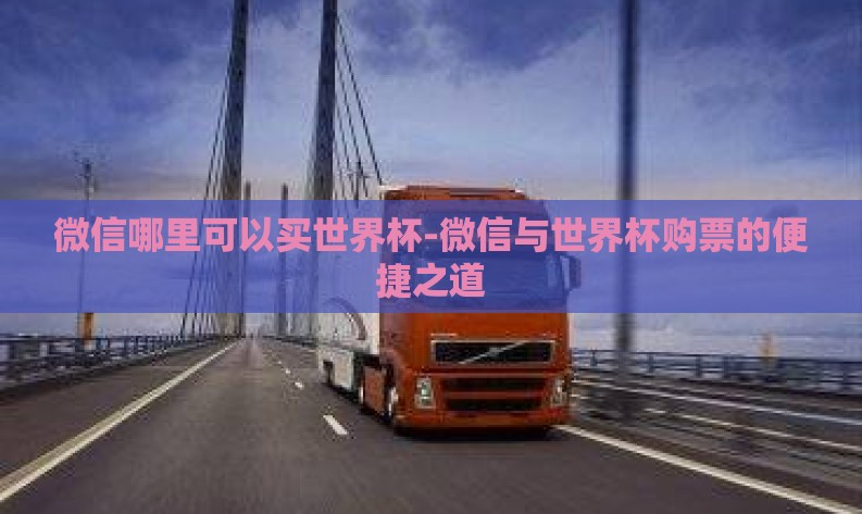 微信哪里可以买世界杯-微信与世界杯购票的便捷之道